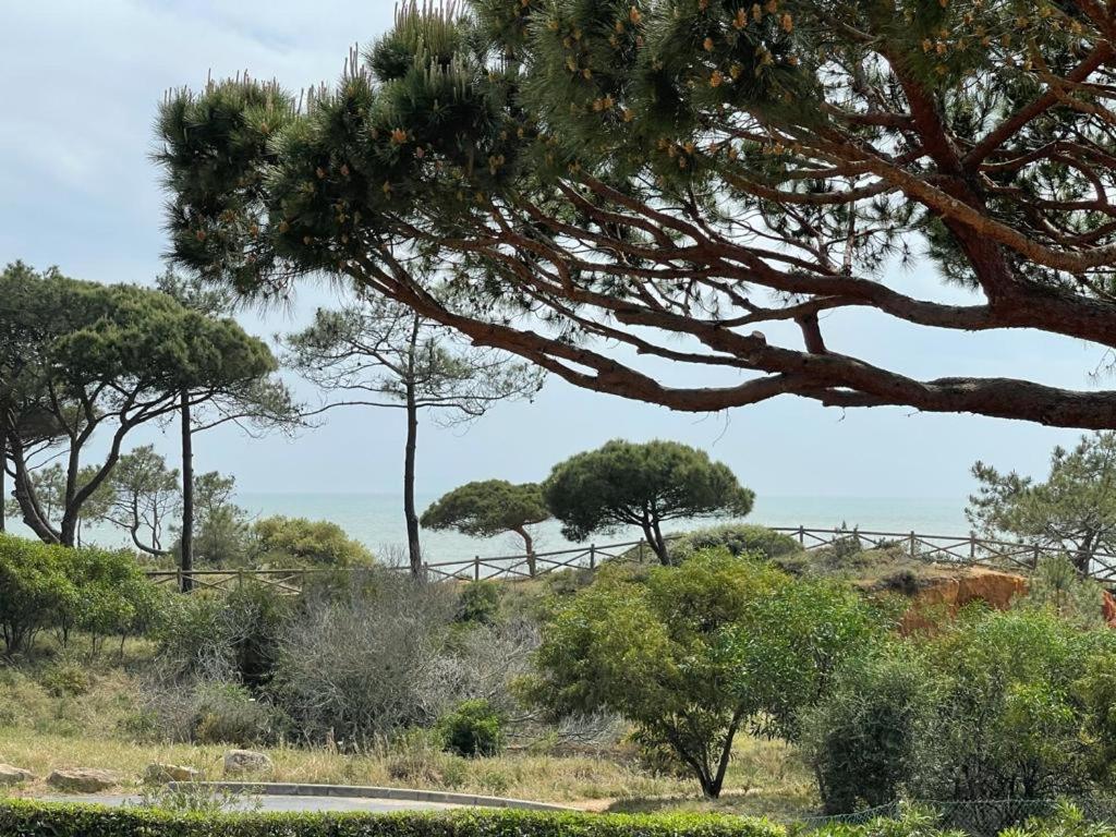 Praia Da Falesia Alfa Mar Albufeira Olhos de Agua  Luaran gambar